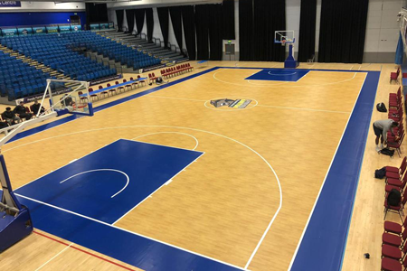 sheffield sharks portable rollout basketball court